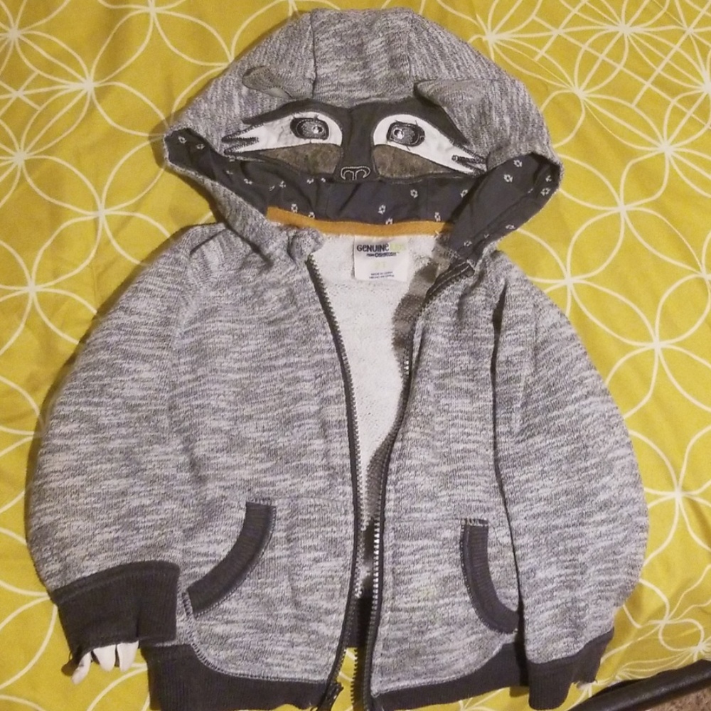 Raccoon hooded sweatshirt